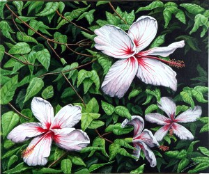 05-09-06-Hibiscus-1