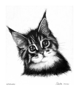 Misty the Cat